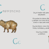 Animalario Argentino - Imagen 4