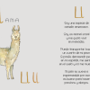 Animalario Argentino - Imagen 3